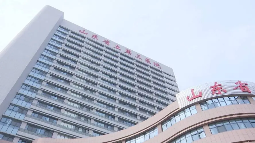 传承 + 创新融合：抓住机遇7年跨越式发展